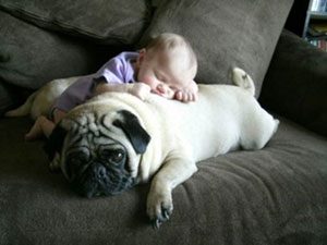 baby on dog