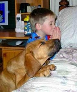 praying dog