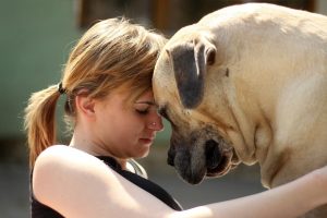 dog with woman