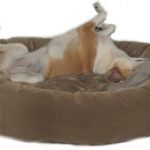 Easy maintenance with removable covers on the pillow and bolster. Excellent sheen and durability. Dog bed furniture at it's best. Get it today from Mammoth outlet. Get the Memory Foam Oblong Dog Bed today. Mammoth dog bed- the only choice for quality