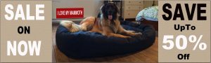 Mammoth Dog Beds