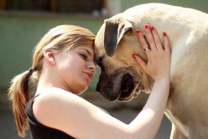 girl with dog mastiff