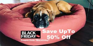 Holiday dog bed sale