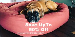 cybermonday sale