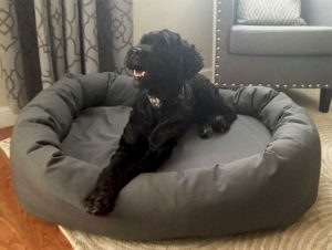 large memory foam dog bed