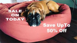 Mammoth large oblong dog bed