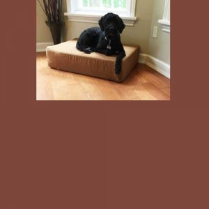 dog on mammoth lounger bed