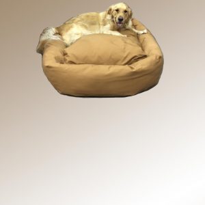 retriever on XL dog bed