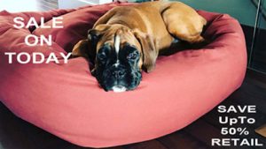 Boxer on a Mammoth large dog bed