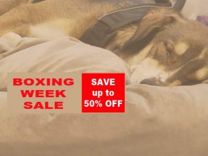 boing dog bed sale