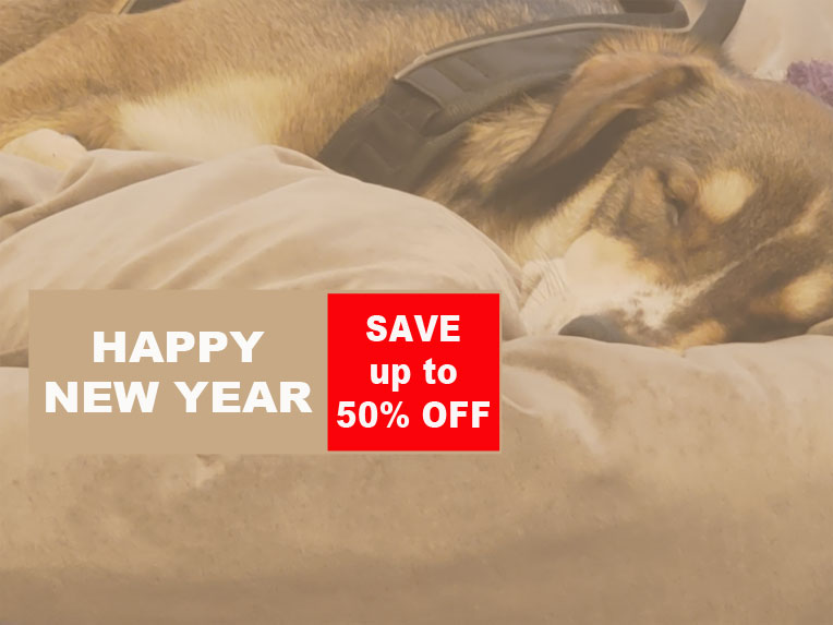 https://www.mammothoutlet.com/wp-content/uploads/2020/01/MO-DOG-BED.jpg