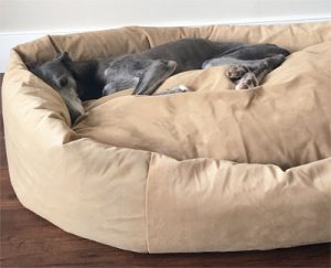 large dog oblong dog bed