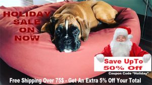 Christmas holiday dog bed sale