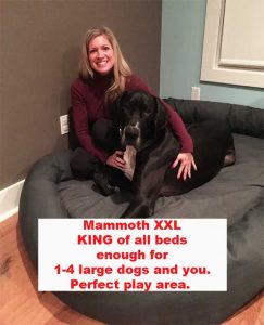 XXL GIANT DOG BED